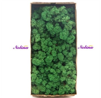 Исландски Мъх * 500 гр. ~ GRASS GREEN