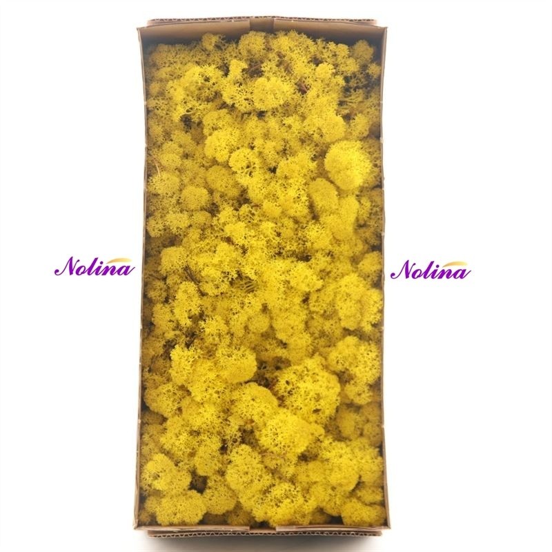 Исландски Мъх * 500 гр. ~ YELLOW GEL
