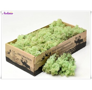 Исландски Мъх * 500 гр. ~ MINT GROEN