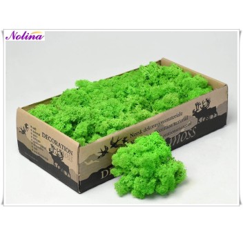 Исландски Мъх * 500 гр. ~ GRASS GREEN LIGHT