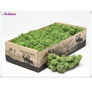 Исландски Мъх * 500 гр. ~ MEDIUM GREEN
