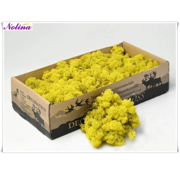 Исландски Мъх * 500 гр. ~ LEMON YELLOW