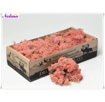 Исландски Мъх * 500 гр. ~ ROZE