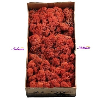 Исландски Мъх * 500 гр. ~ SIENA