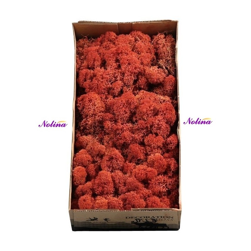Исландски Мъх * 500 гр. ~ SIENA