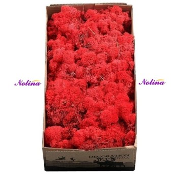Исландски Мъх * 500 гр. ~ ROOD