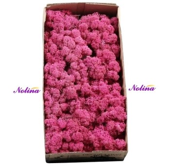 Исландски Мъх * 500 гр. ~ FUCHSIA