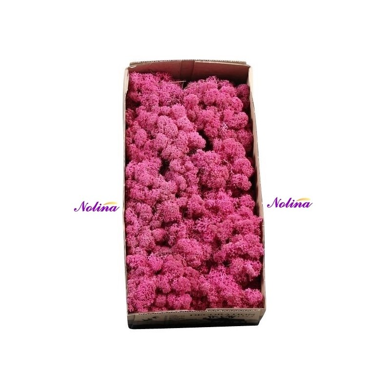 Исландски Мъх * 500 гр. ~ FUCHSIA