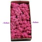 Исландски Мъх * 500 гр. ~ FUCHSIA