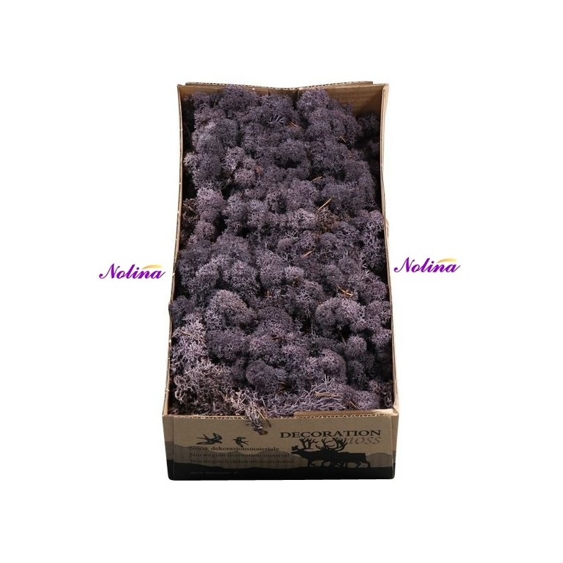 Исландски Мъх * 500 гр. ~ АUBERGINE