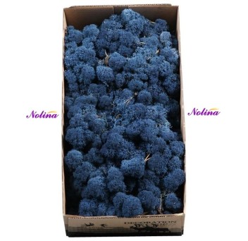 Исландски Мъх * 500 гр. ~ BLUE