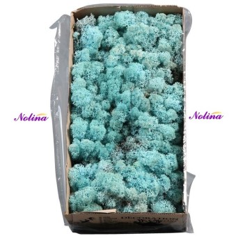 Исландски Мъх * 500 гр. ~ AQUAMARIN