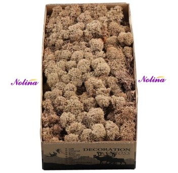 Исландски Мъх * 500 гр. ~ BRUIN