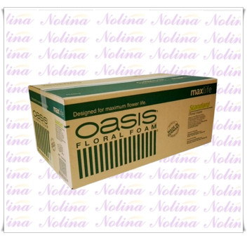 Пиафлора OASIS / Стандарт х 20 бр.