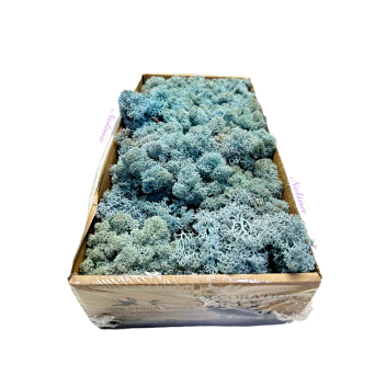 Исландски Мъх * 500 гр. ~ ICE BLUE