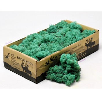 Исландски Мъх * 500 гр. ~ PACIFIC GREEN