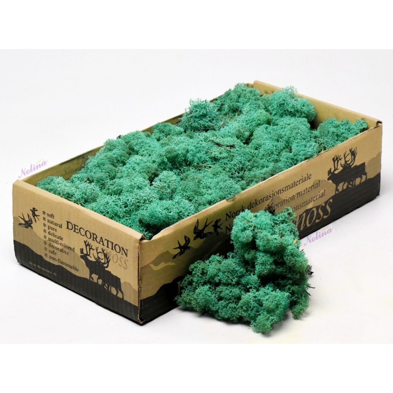 Исландски Мъх * 500 гр. ~ PACIFIC GREEN