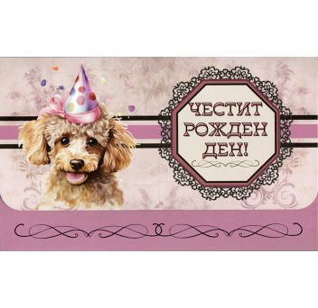 Плик за пари "Честит Рожден Ден" / МОДЕЛ 7
