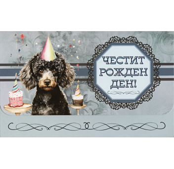 Плик за пари "Честит Рожден Ден" / МОДЕЛ 8