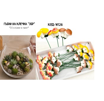 Гъбки на тел / 24 бр.