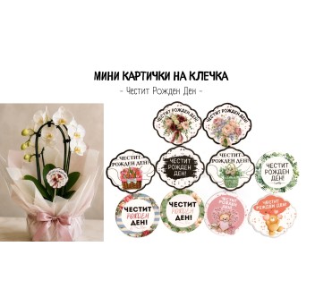 Кръгли картички на клечка с послание "Честит Рожден Ден" 24 бр.
