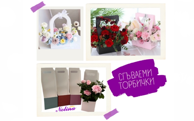 Offer Banner